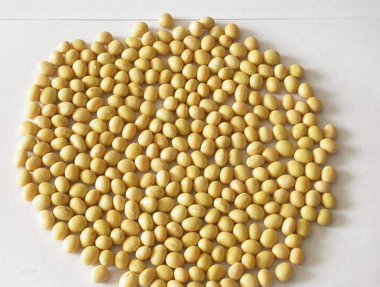 烧伤如果没有及时处理会怎么样,烧伤快愈合了什么药膏能预防疤痕