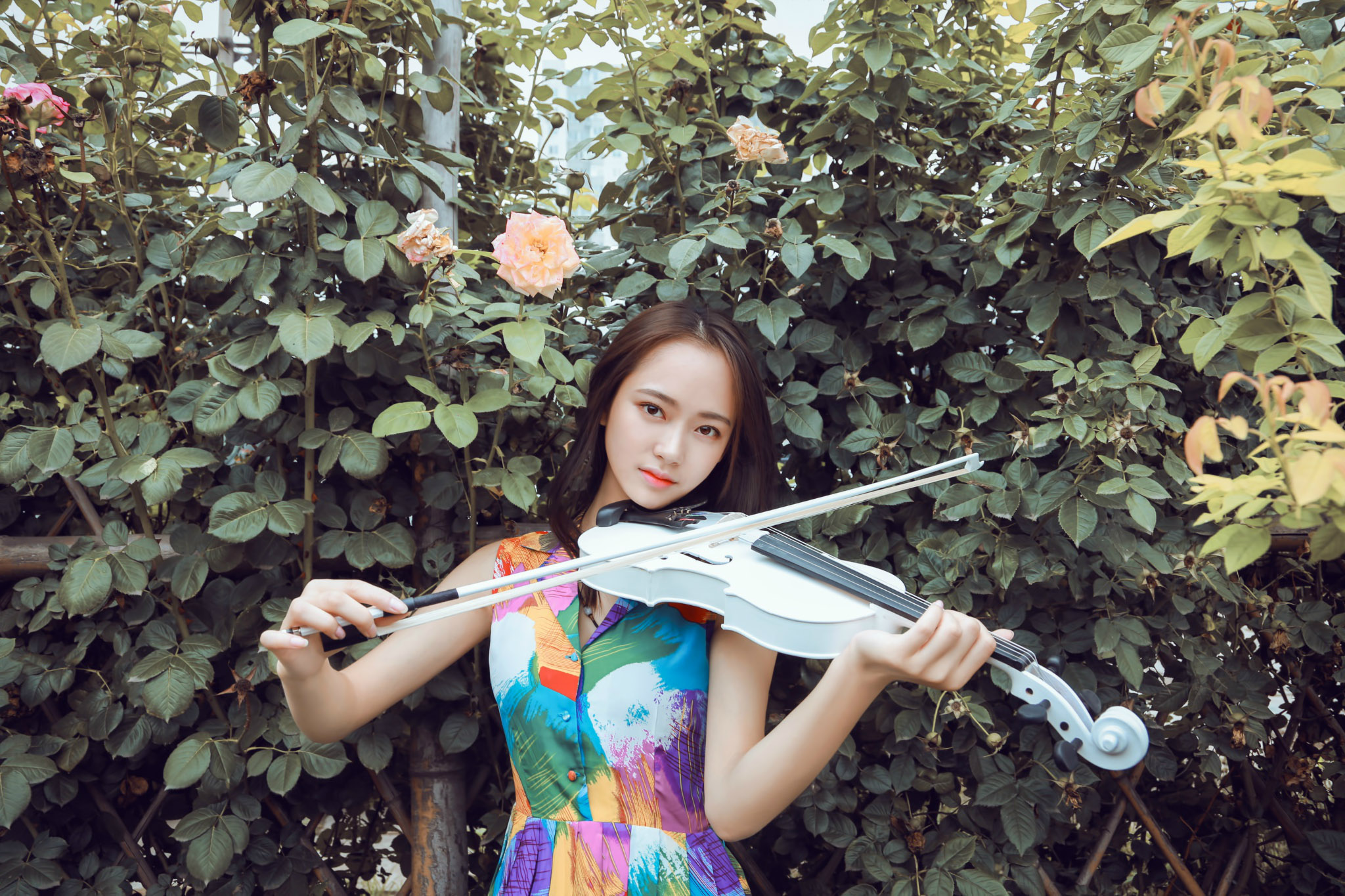 木屋里的小姑娘,围屋里的小姑娘