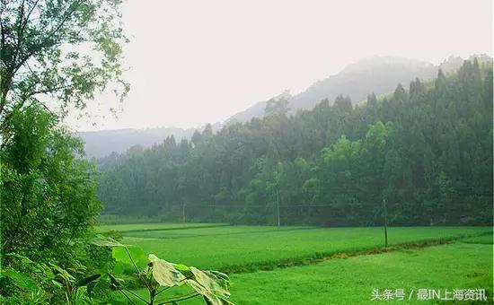 上海话念不了诗,上海话念古诗词