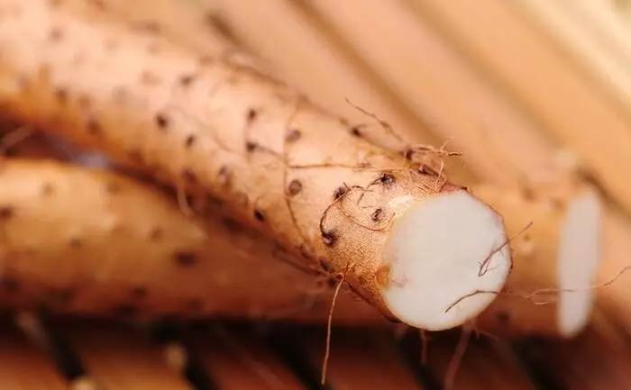 五谷杂粮窝料配方全套制作方法,润肠通便的五谷杂粮养生配方大全