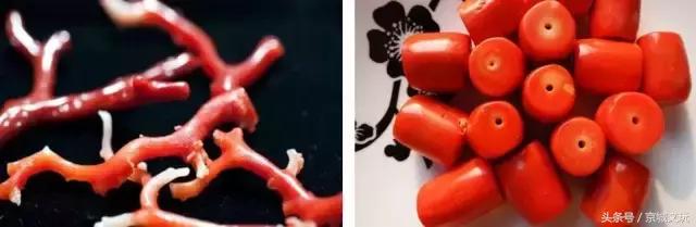 红珊瑚的功能与保养,红珊瑚的功能与用途