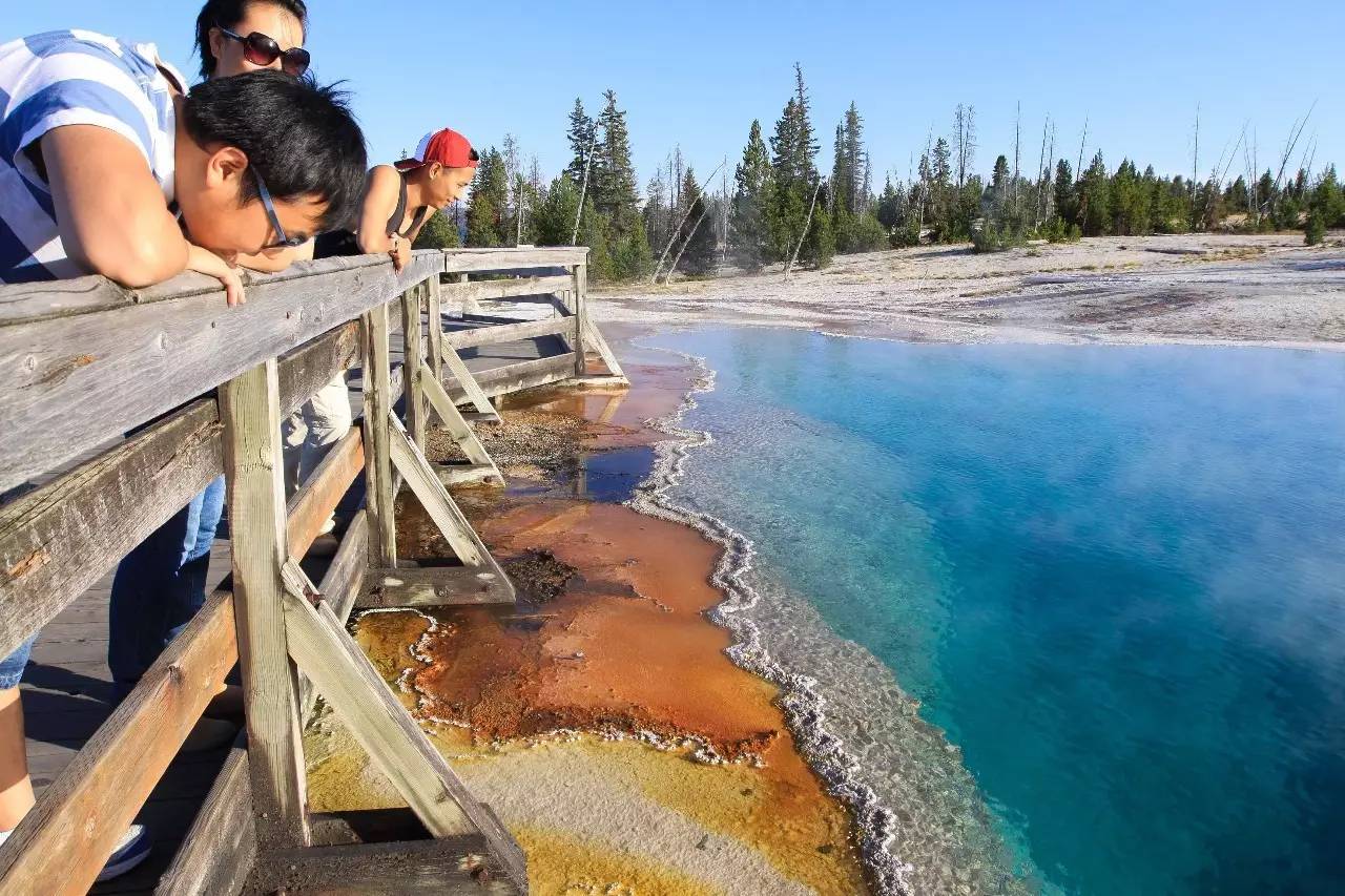游记｜美西四大国家公园深度游，黄石8日入住小木屋~