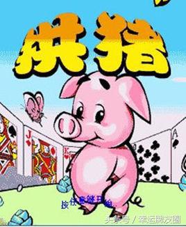 今天你拱猪了吗？