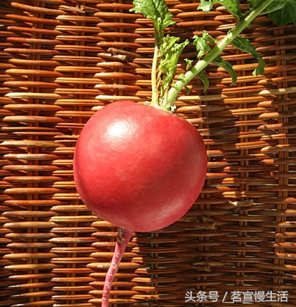 大红萝卜条怎样炒好吃,炒大红萝卜条