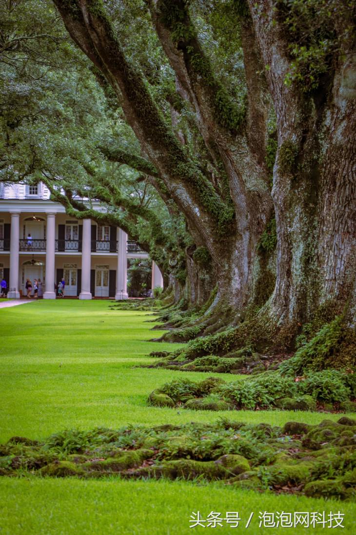 我在美国吃麻小佳能EOS路易斯安那随拍