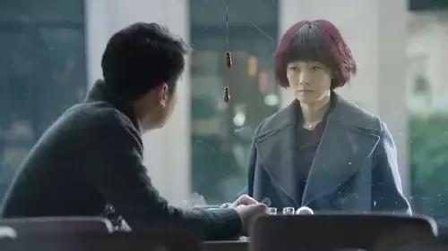 我的前半生罗子君妈妈结局,我的前半生罗子君妈妈有没有被骗