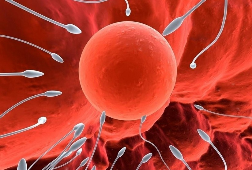 40岁的女性能排出“20岁的卵子”？做到这4点，完全能够！