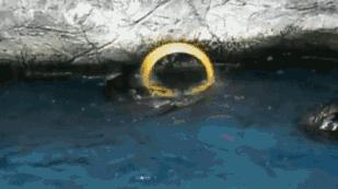 最受欢迎十大潮牌品牌,最受欢迎十大潮牌