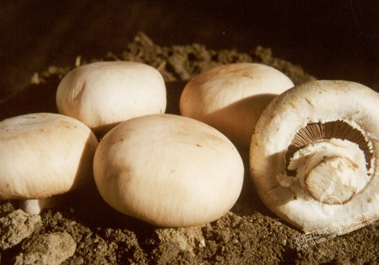 我们这个年龄护肤是必不可少的,30岁以后该用什么护肤品保养