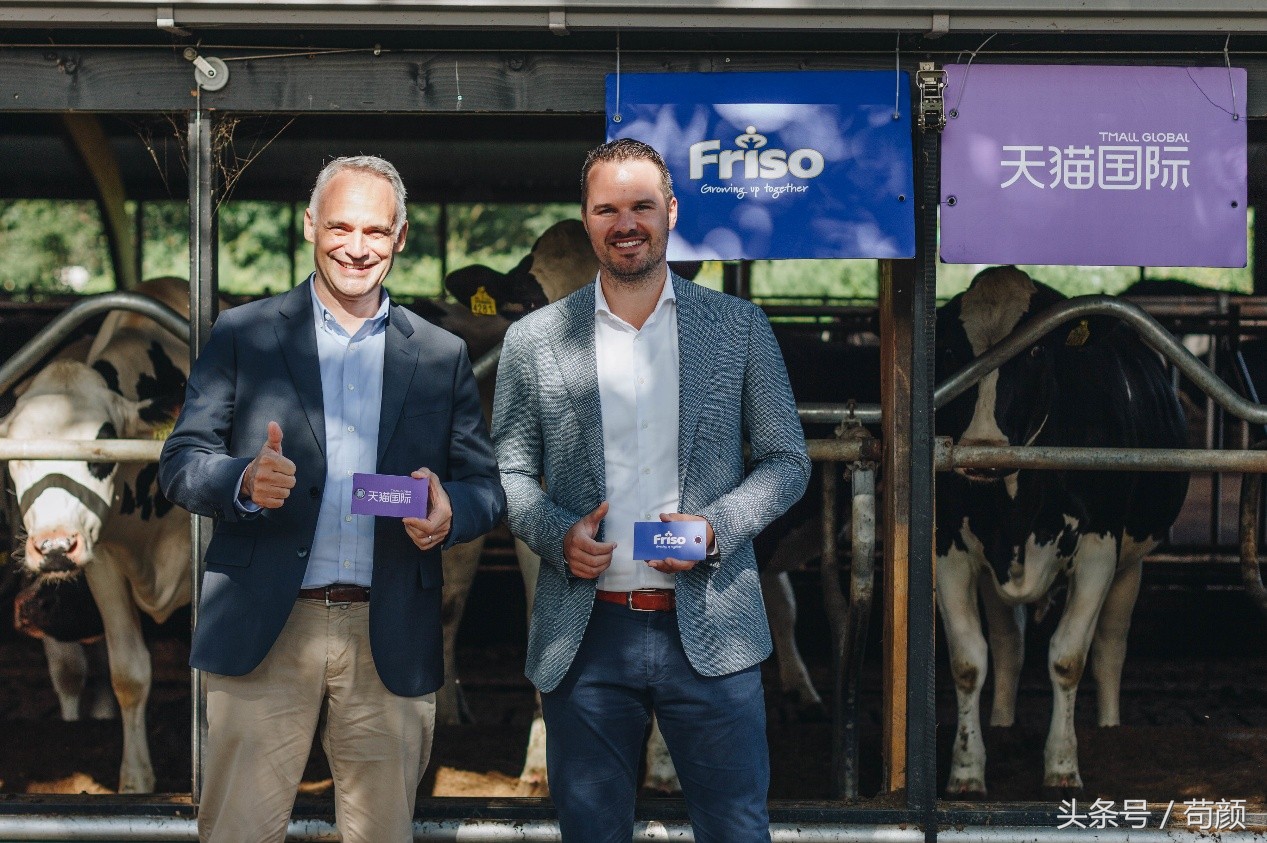 各国争抢全球黄金奶源带，网友评论：别争了，都在天猫国际呢！