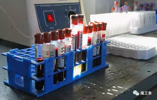 世界上最昂贵的液体排名,10种世界上最昂贵的液体