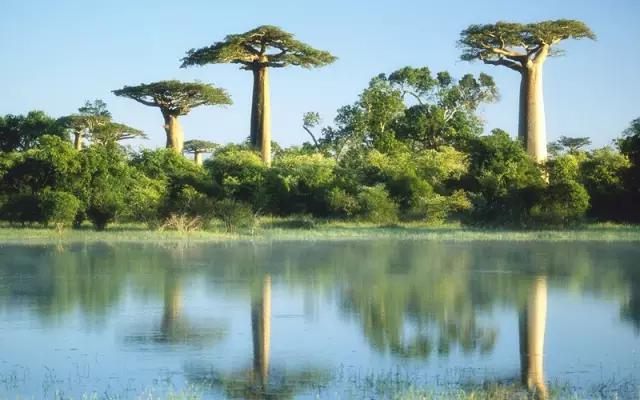 旅游所需的护照签证等申请攻略,出国旅游护照签证办理流程图