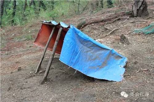 美食有一种情怀叫老味道,美食江湖情