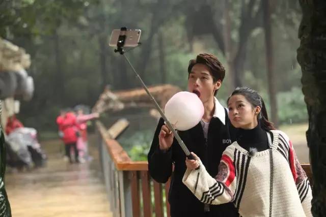 长隆半价|像某对明星CP一样约会吧