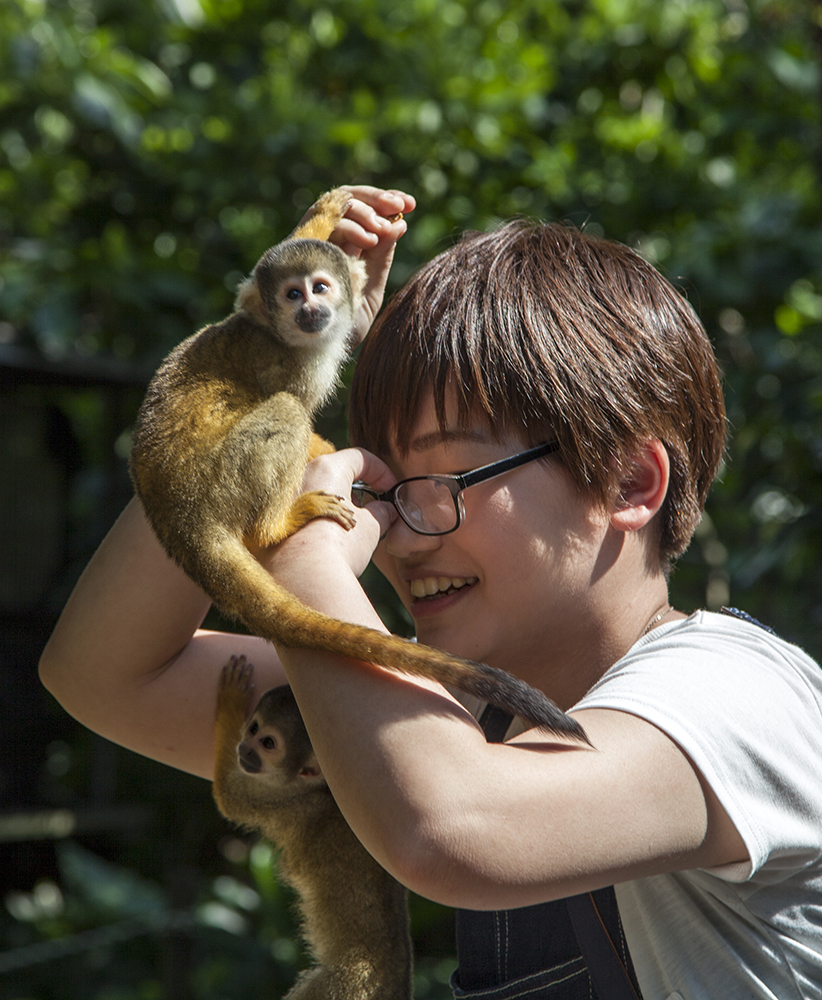 日本除了爱泡澡的温泉猴，还有这群爱翻女生包包的“扒手猴”