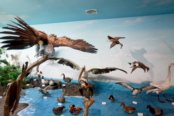 长崎济州岛游轮游,五天四夜日本邮轮游