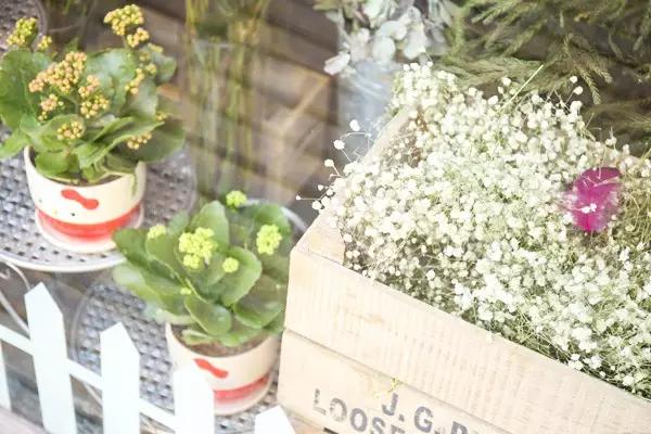 法芙娜巧克力合适做什么,法芙娜巧克力奶油的做法