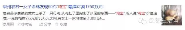 鸡肚里发现值钱东西230万,杀鸡肚中惊现鸡宝价值超百万