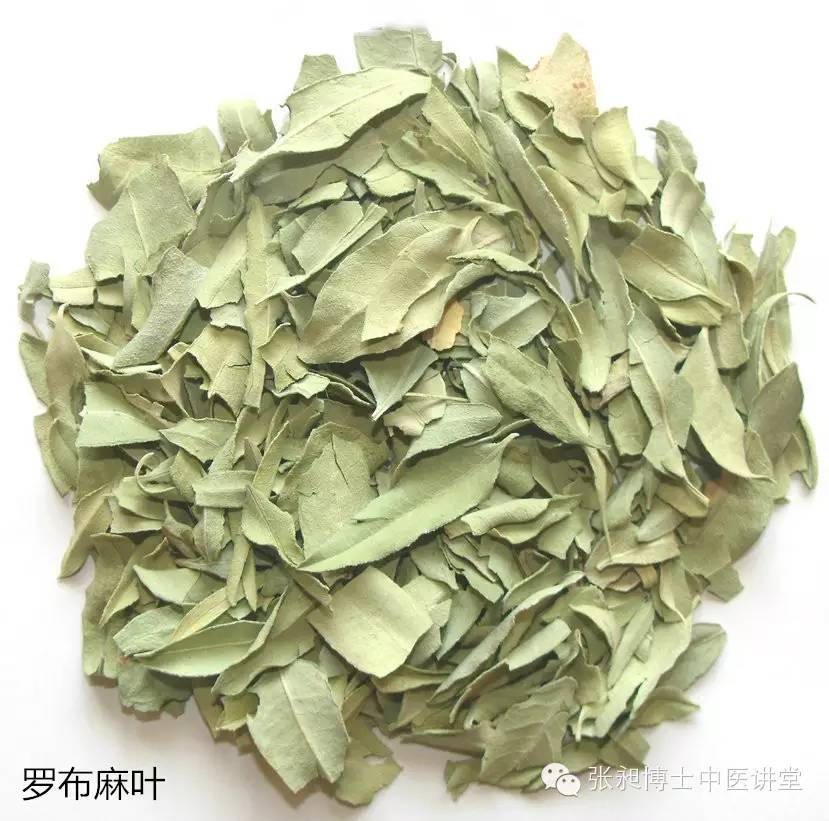 罗布麻叶泡水能够降各种高血压吗,罗布麻叶降血脂