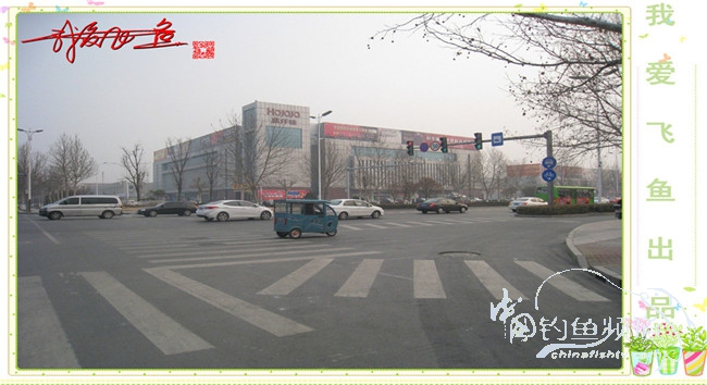 2016之我爱飞鱼觅得好钓点