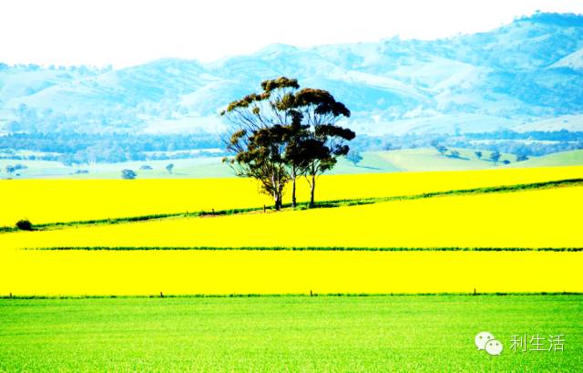 ppt技巧揭秘这些功能您会使用了吗,ppt附加文件