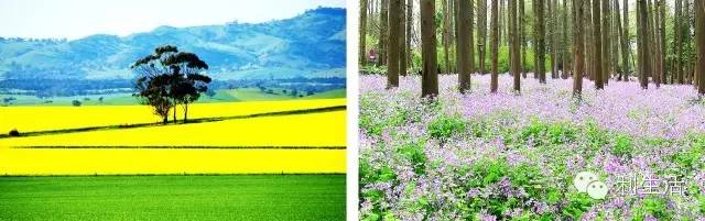 ppt技巧揭秘这些功能您会使用了吗,ppt附加文件