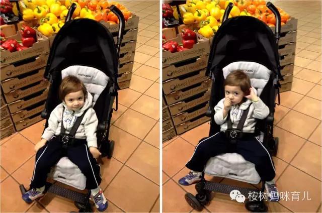 带娃旅行如何兼顾学习 (带娃之余也能够有诗和远方)