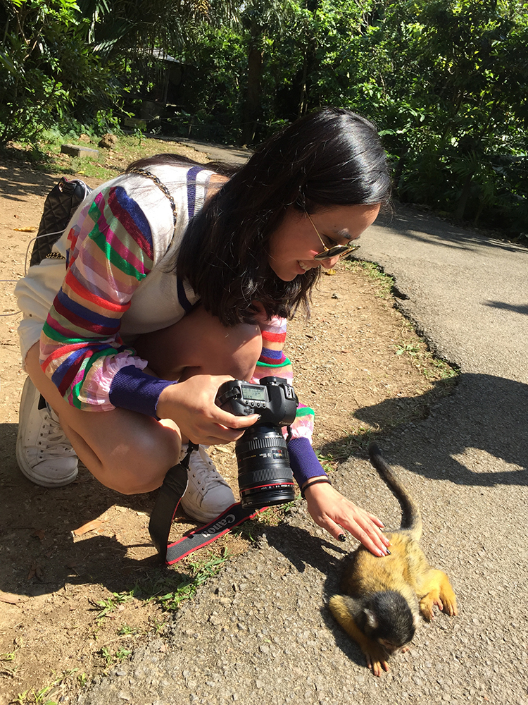 日本除了爱泡澡的温泉猴，还有这群爱翻女生包包的“扒手猴”