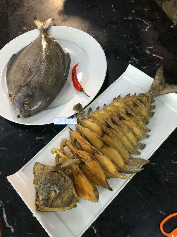 唐朝人为什么要将鲳鱼称为“狗瞌睡鱼”？六种鲳鱼你认识几种？