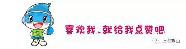 宝山公积金提取网点,宝山市公积金贷款