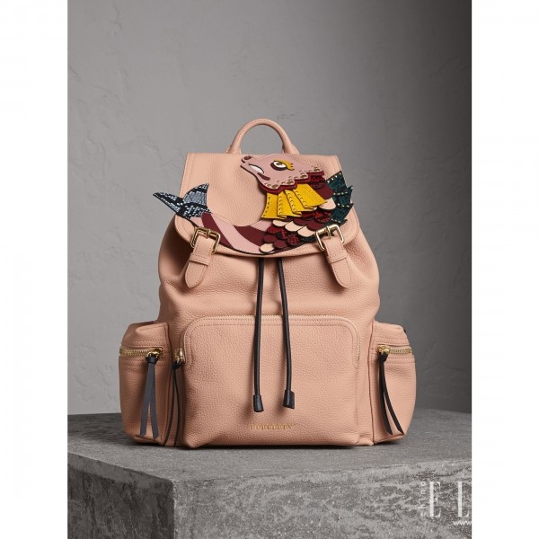 明星都在背什么帆布包,明星同款双肩包女现在最流行的