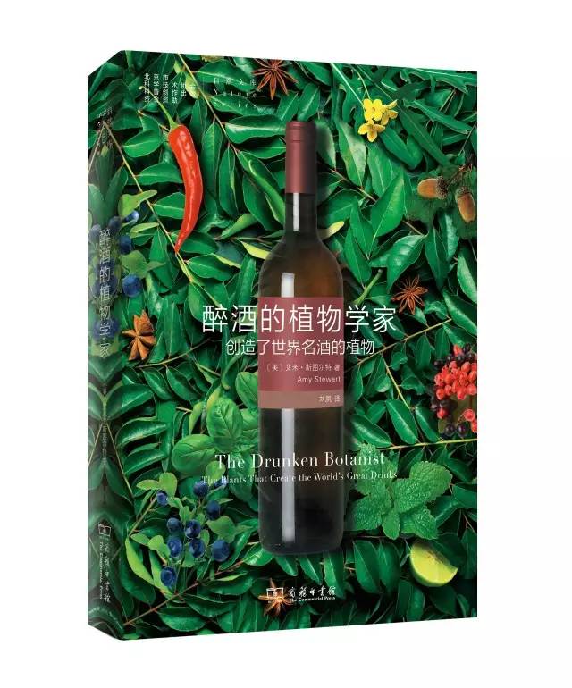 经典的书籍推荐100本好理解的书,北大公认100本好书
