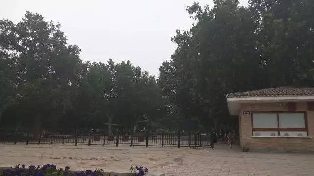 大连MissionDay夜刷大巴组战报