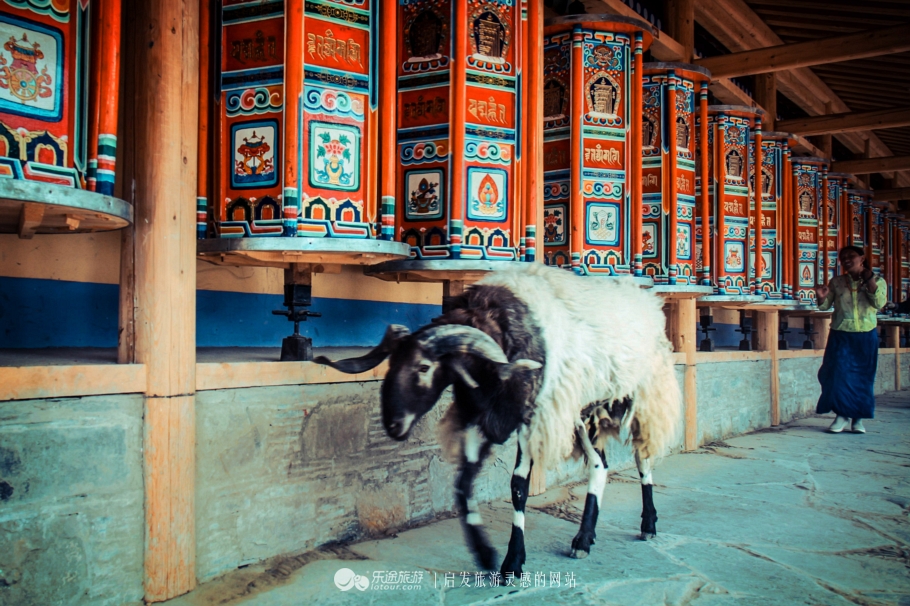 拉卜楞寺西藏,甘南拉卜楞寺离拉萨远吗