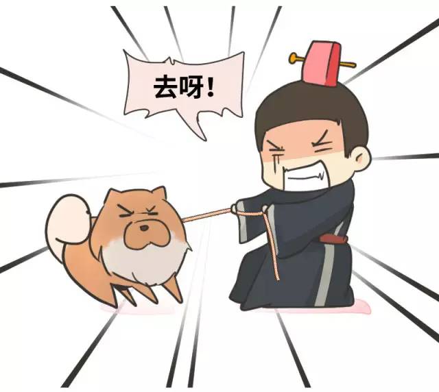 中华名犬唯一上榜的犬,中国顶级中华名犬猎犬