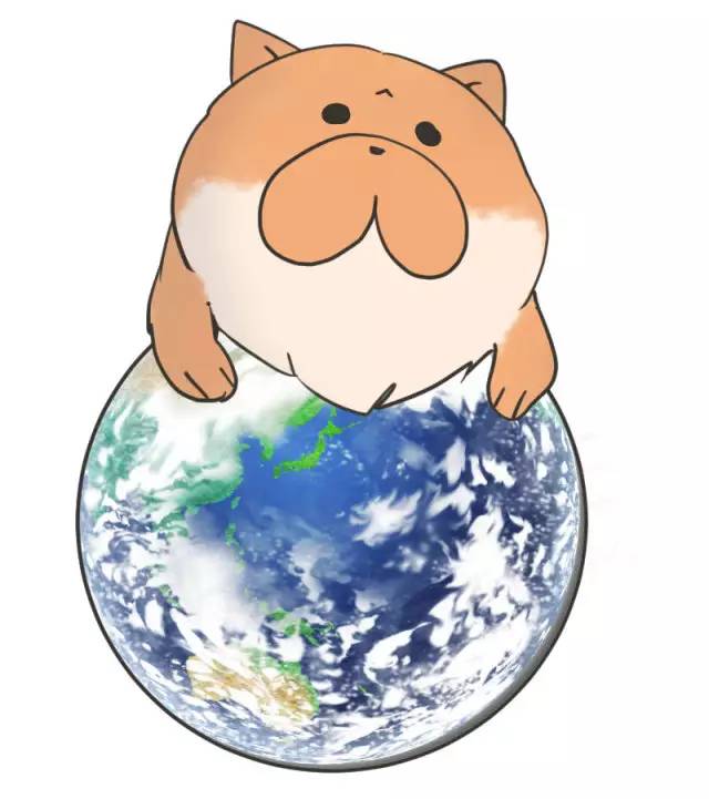 中华名犬唯一上榜的犬,中国顶级中华名犬猎犬