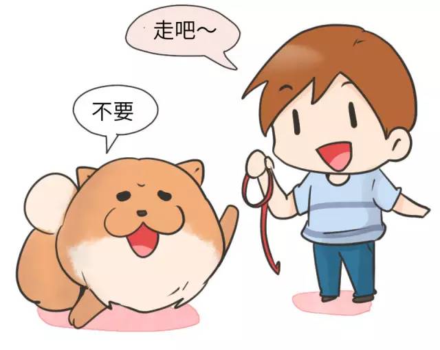 中华名犬唯一上榜的犬,中国顶级中华名犬猎犬