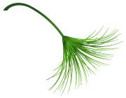 盘点好用的脱毛产品推荐,推荐好用脱毛产品