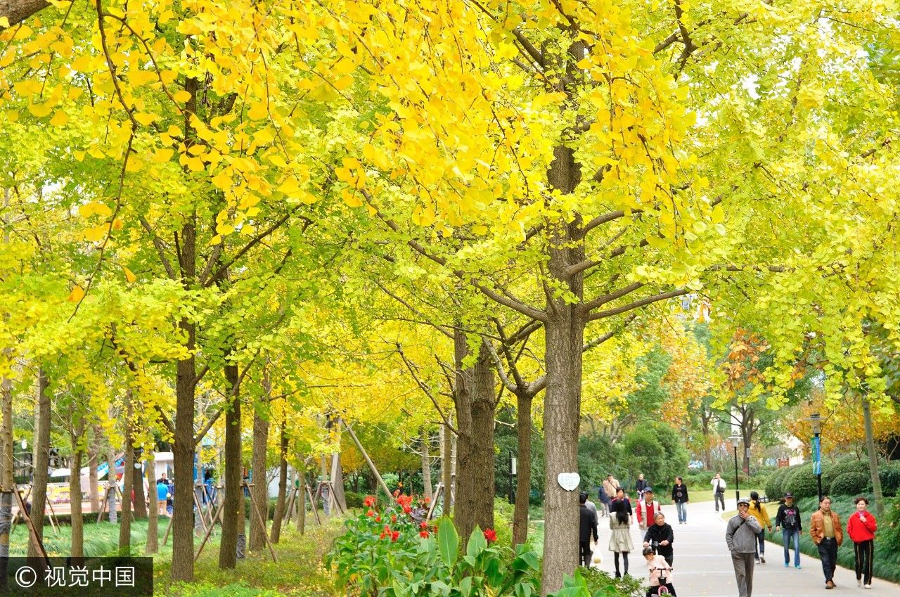 上海附近的免费凉快的地方,上海哪里能够免费乘凉
