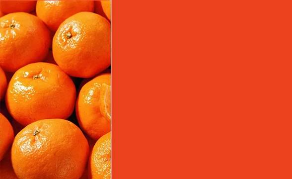 最好用的4支口红,最好用的6支口红