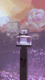 为了爱你能够迁就一切,为了爱你能奋不顾身吗