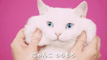 白敬亭推荐护肤产品,白敬亭同款护手乳