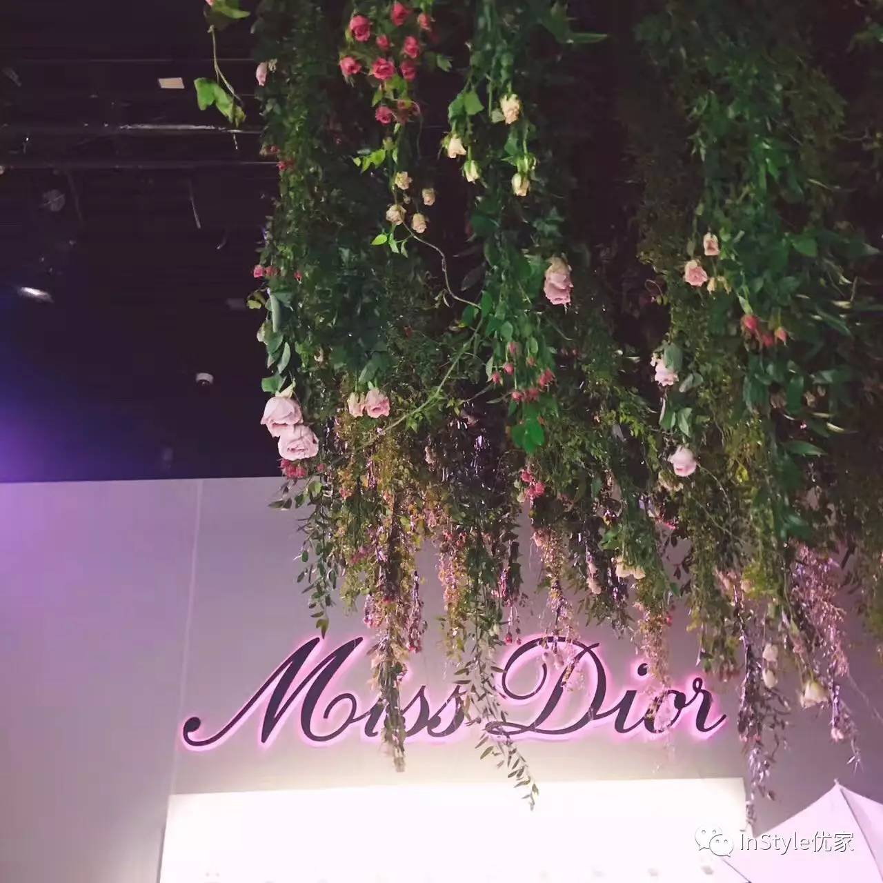 为了爱你能够迁就一切,为了爱你能奋不顾身吗