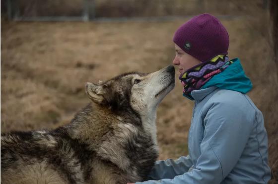 美国三大科技巨头坐拥4640亿美元现金