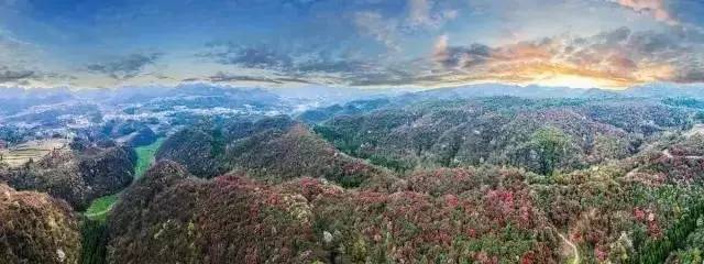 资讯丨“清凉大礼包”送到广西，去贵州享受23℃的夏天，过路费门票统统半价！