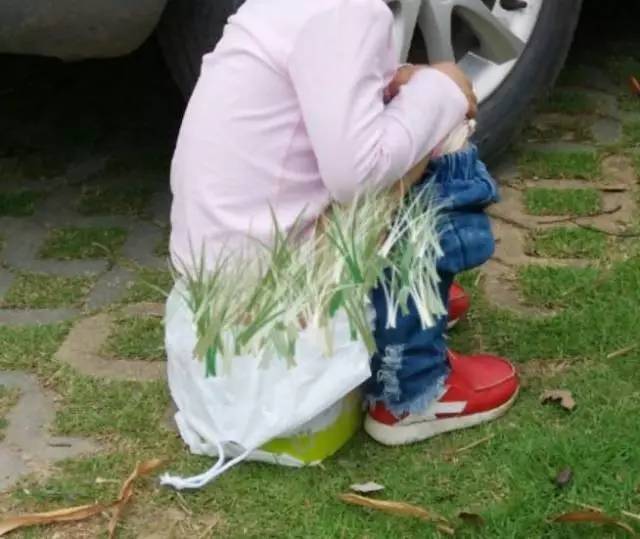 地铁上给孩子把尿,在厕所给宝宝把尿