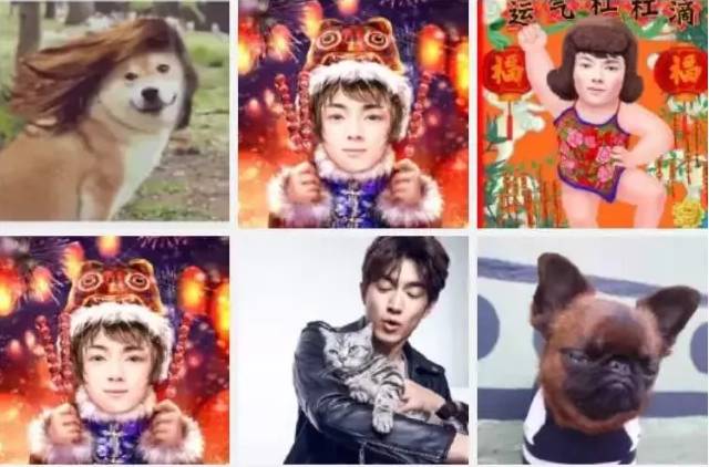 取向狙击晋江,取向狙击朴宰范