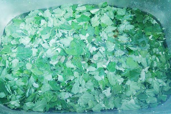 野菜灰灰菜的做法大全,东北野菜灰菜