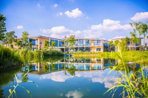 双流区创业,双流区合适创业的地方