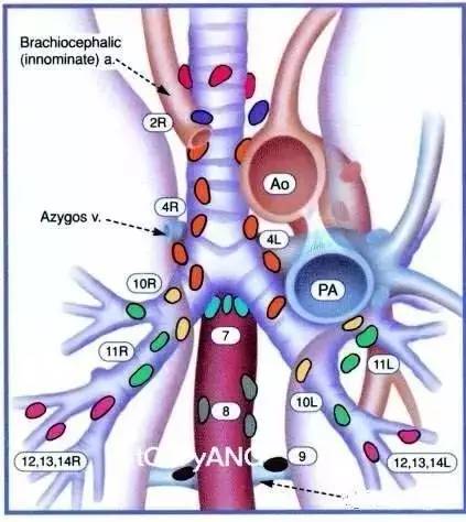 腹腔镜手术用缝合吗,腹腔镜手术的利弊